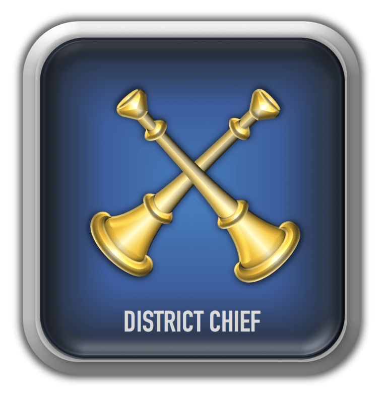 firefighter rank and insignia district chief