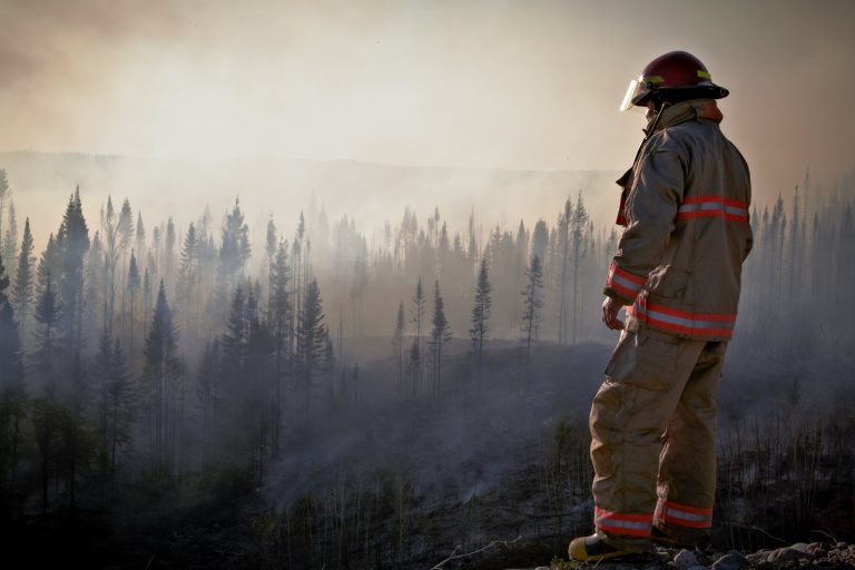 Wildland Firefighting Organizations, Agencies, and Jobs